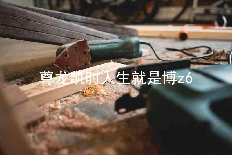 尊龙凯时人生就是博z6