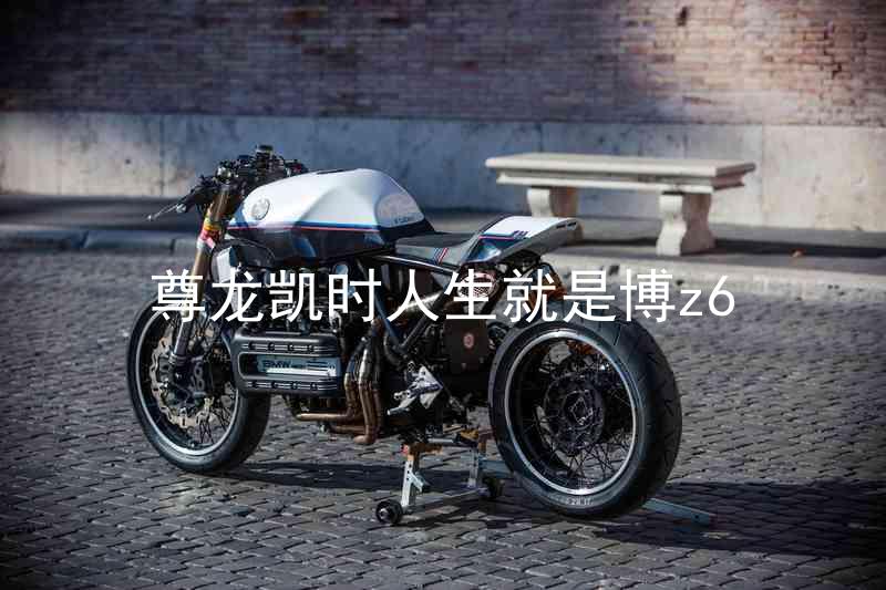 尊龙凯时人生就是博z6