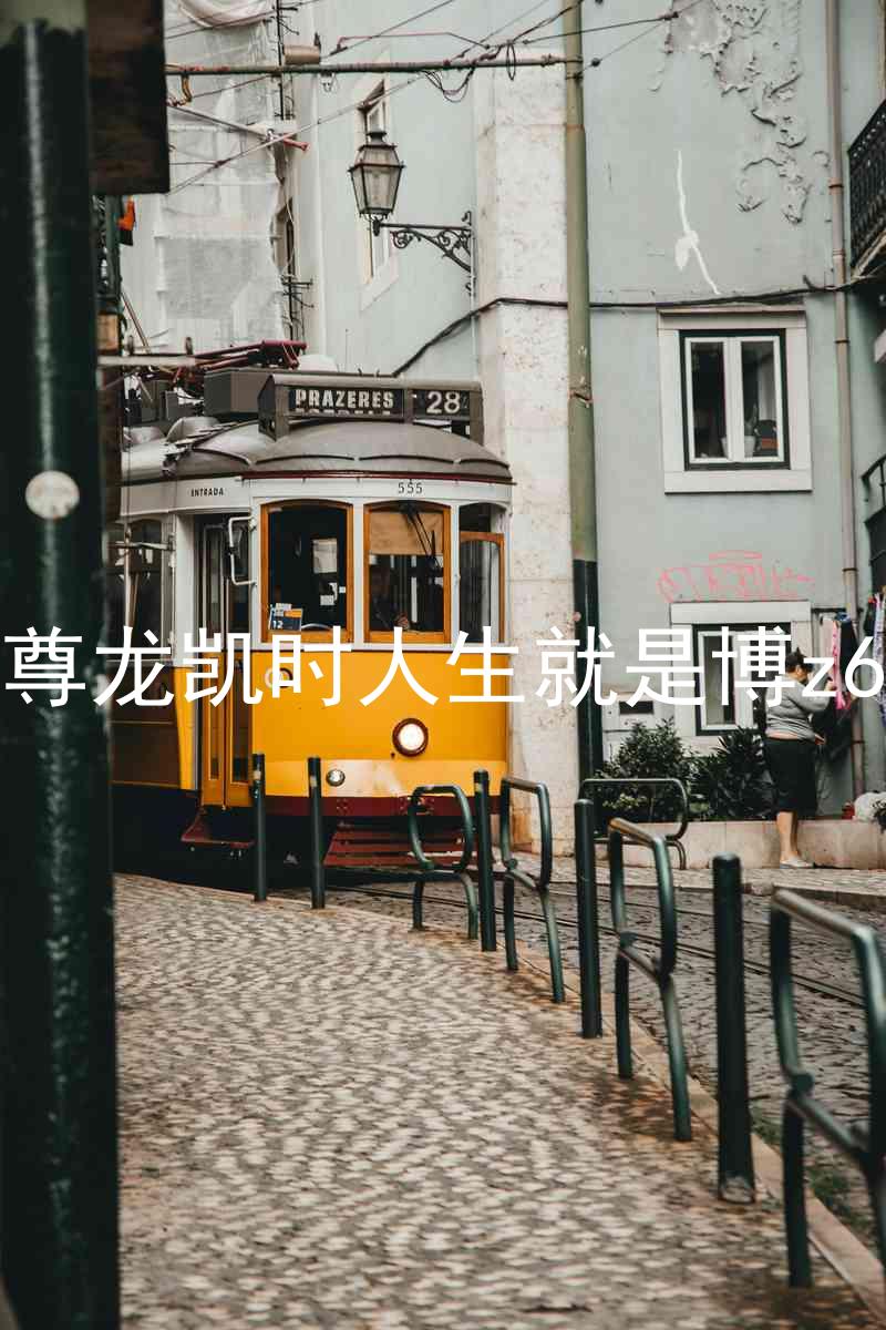 尊龙凯时人生就是博z6