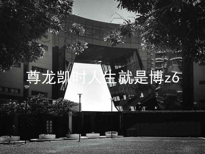 尊龙凯时人生就是博z6