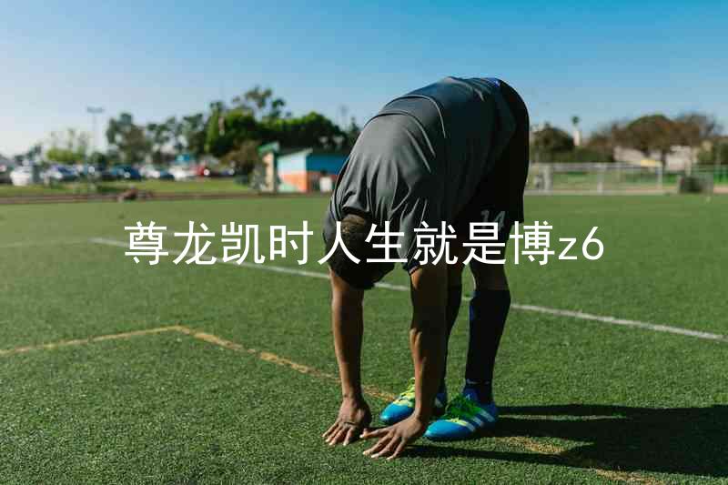 尊龙凯时人生就是博z6