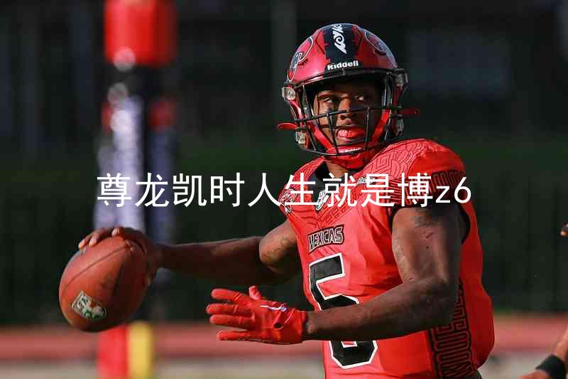 尊龙凯时人生就是博z6